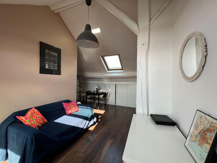 Bright Studio Apartment - Fontainebleau Kültér fotó